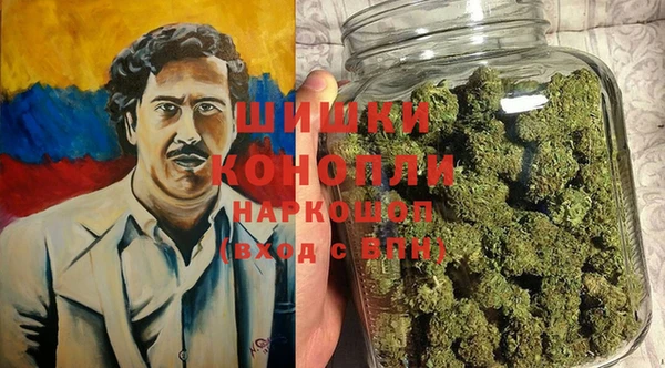 гидра Киреевск