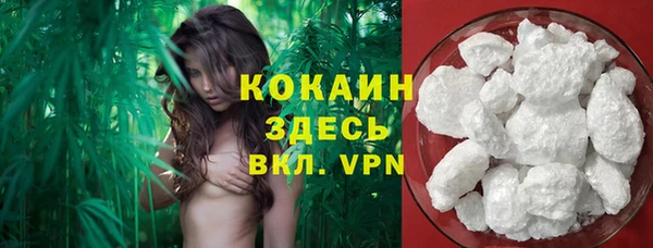 гидра Киреевск