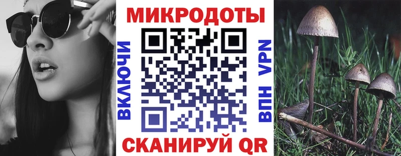 Галлюциногенные грибы Psilocybine cubensis  Купить закладки  Звенигово 