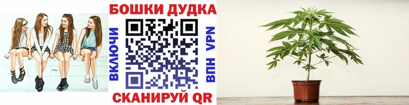 Канабис Amnesia  Купить закладки  Звенигово 